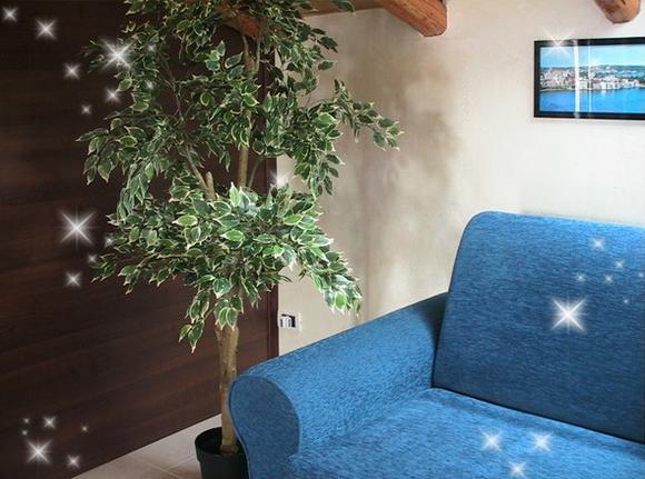 B&B Suite * Viagrande